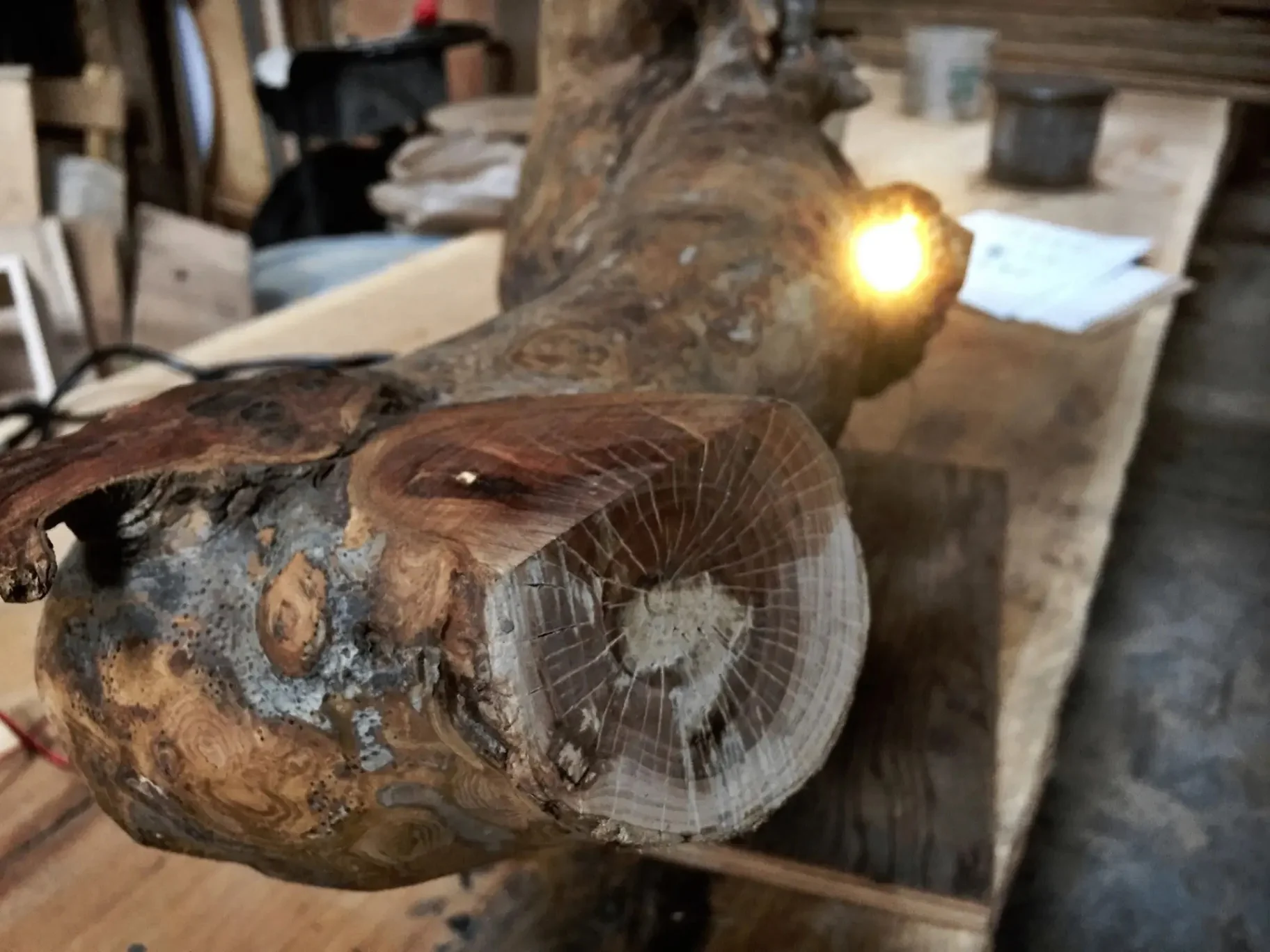 Apple tree branch fitted with lights — custom light fixture for a client's side table